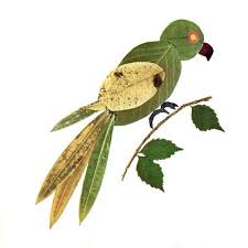 Cara membuat kolase cara membuat gambar kolase beserta contoh contohnya bagi. Sketsa Gambar Hewan Untuk Kolase Daun Kering