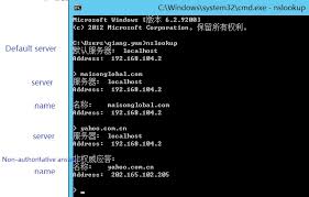 Dns Problem Simple And Recursive Qurey Failed But Nslookup Test Is Ok