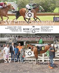 Free shipping on all orders over $150. 6 17 19 R3 Rose Candy Gumpster Stable R Dalessandro Jpg Stephanie Valenti
