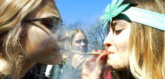 Cannabis: Diese vier Regeln sollen Dealer befolgen