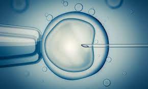 Die insemination ist eine assistierte reproduktion technik, wobei die spermien in die gebärmutter der frau künstliche befruchtung. Ivf Und Icsi Die Kunstliche Befruchtung Und Was Dabei Passiert