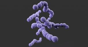 Zelenyashij Streptokokk V Nosu Recept Poshagovyj S Foto