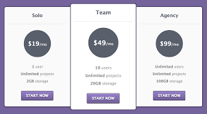 Pricing Table Fully In Html And Css Pricing Table Information Visualization Coding