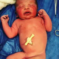 John Lemmer (@john.lemmer) • Instagram photos and videos