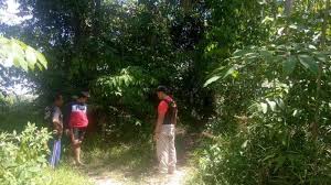 Bahan batang dan cabang tampal besi (phyllanthus reticulatus) secukupnya cara mengobati bahan daun pare segar 1 genggam tepung beras 2 sendok makan air panas secukupnya cara mengobati ilustrasi gambar dari google mendengar sebutan lebah pasti yang ada di benak kita pertama kali. Begini Modus Perampokan Tukang Besi Rongsokan Di Hutan Bukit Kepoh Bangka Pos