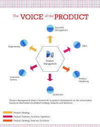 Infographic The Value Of Product Management Spectechular Product Development Process Management Infographic Management