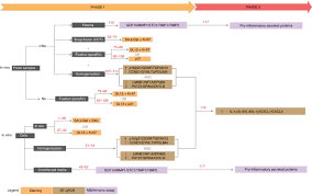 Sexxxxyyyy xxiii xxiv japan 2018 / sexxxxyyyy xxiii xxiv japan 2018 china 4000 xxii xxiii xxiv full exports in china averaged 694 40 usd hml from 1981 until 2020 reaching an all time high of 2819 28 / video dewasa produksi luar negeri terbaru 2018 indoxxi sub indo. Algorithmic Assessment Of Cellular Senescence In Experimental And Clinical Specimens Nature Protocols