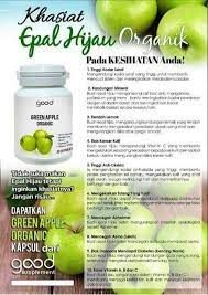 Sudah terbukti kalau buah apel memang mempunyai segudang manfaat baik kecantikan maupun kesehatan. Good Supplement 18 Khasiat Buah Epal Hijau Untuk Kulit Facebook