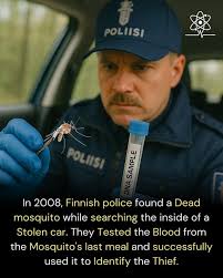 funfact Did you know that for the first time we see Grissom doing a  crossword puzzle in S01E07 "Blood Drops"? 🤓