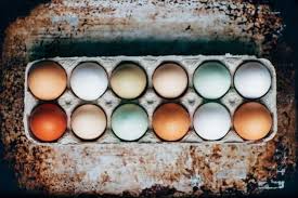 Namun belum banyak yang mengetahui tips. Telur Ayam Telur Bebek Atau Telur Puyuh Mana Yang Lebih Sehat Halaman All Kompas Com