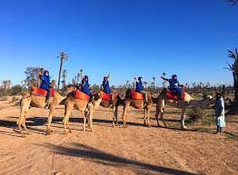 After being collected at your hotel or riad in marrakech, you'll be driven to the barren afterwards, with a moroccan mint tea as the cherry on the cake. Desert And Palm Grove 2 Hour Camel Ride From Marrakech Including Moroccan Tea And Snack 2021 Happytovisit Com