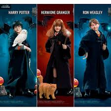 In school, he was an average student with a very vivid imagination and always ready for trouble. Figure Harry Hermione Or Ron Limited Edition Children Halloween Harry Potter Star Ace