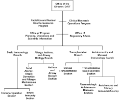 division of allergy immunology and transplantation