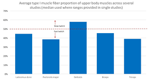 What 30 Studies Say About Your Muscle Fiber Type And Muscle
