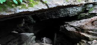 Devil's Den State Park Caving | Explore the Ozarks