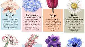 These flowers also symbolize the beginning of a brand new friendship. The Meanings Behind 50 Flower Names Considerable