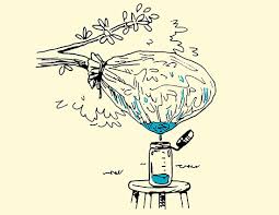 Any survival expert will tell you that no matter where you find water in the wild — be it from streams, lakes, condensation on plants, etc. How To Find Water In The Wilderness The Art Of Manliness