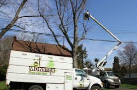 A green lawn is a vital part of the overall appearance of your property. Berea Monster Tree Service Of Cleveland