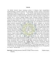 Image result for IPAL limbah domestik