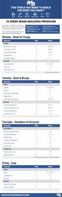 Pin On Muscle Building Workouts