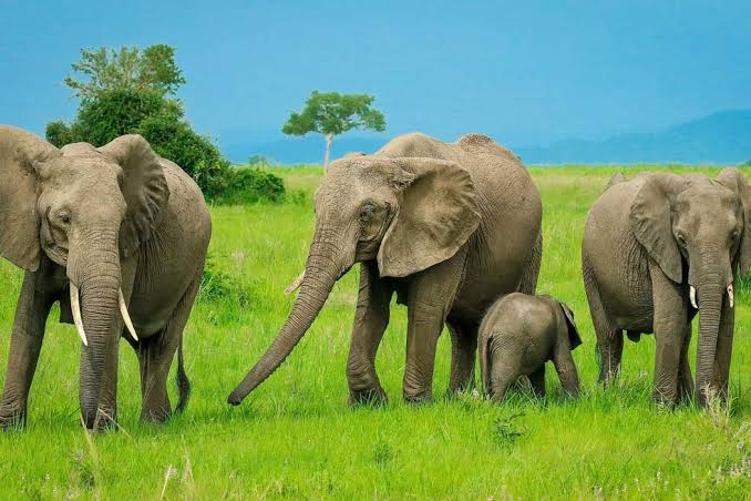 Southern Tanzania