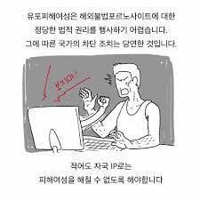 불법 야동 사이트 차단 관련에 대한 모든 것 (SNI) - 인스티즈(instiz) 이슈 카테고리