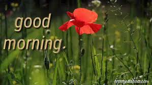 We did not find results for: Good Morning Gif Images For Whatsapp Free Download First Media Post