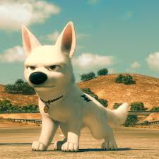 Bolt! - Disney's Bolt Photo (34335639) - Fanpop
