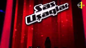 Leyla məmmədova bakı görmədən seçimlər səs u(480p) mp4