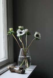 Anemonen Maljakossa Home Floral Arrangements White Anemone Flowers