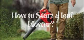 Slide the primer plunger and slowly release it six times. How To Start A Leaf Blower Gas Echo Stihl Homedegarden