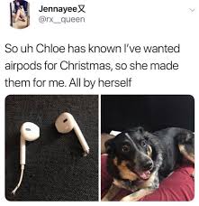 Doggo Gifts Her Human Air Pods Memes Funny Memes Funny Comments