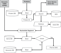 governance of biomedical research commons to advance