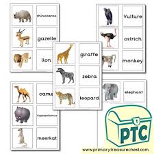 Keep reading and find out just how fascinating africa's wildlife. African Animal Resources Primary Treasure Chest