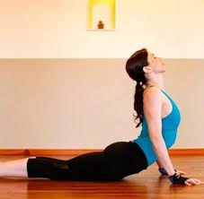 type of yoga postures yoga postures