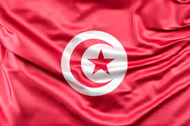 Big thanks to the team. Where Is Tunisia Heading Web Occ