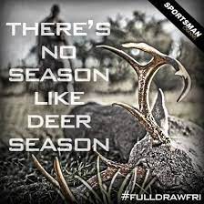 Pin On Fishing Quotes