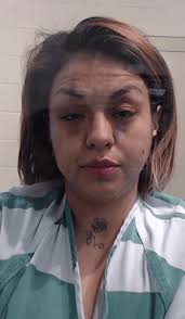 Woman living in stolen RV arrested