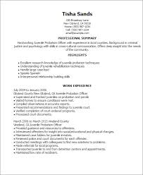 Professional Juvenile Probation Officer Templates Showcase Your Senior Corrections Cover Letter For Resume Resume Resume Objective Sample