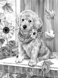 A dog is an animal that we can keep indoors. Baby Lab Grayscale Coloring Animal Drawings Dog Coloring Page