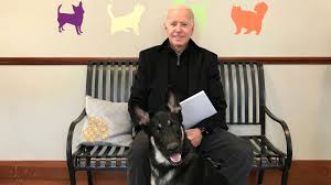 Us president joe biden and first lady jill biden have announced the death of their beloved german shepherd champ, who had been with them for 13 years. P Gjqcc5rptukm