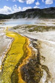 Yellowstone Nationalpark Top Sehenswurdigkeiten Highlights Fotos Yellowstone Nationalpark Nationalpark Reiseziele