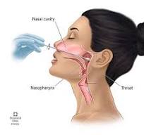 What Is a Nasopharyngeal Swab?
