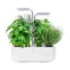 Veritable Smart Indoor Garden Herbs Indoor Garden Hydroponics Diy