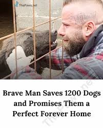 His story is so inspiring. We need more people like him! From zero dog  experience to rescue hero! 🐶 Bruno Yovich went from adopting one French  Bulldog to saving hundreds of pups: