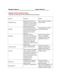 Human Body Systems Matching Key