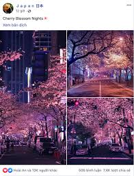 Chụp ảnh chế độ bạn đêm. Ä'áº¥t NÆ°á»›c Ä'áº¹p Báº¥t Cháº¥p Thá»i Gian Ä'ich Thá»‹ La Nháº­t Báº£n Xem áº£nh Hoa Anh Ä'ao Ná»Ÿ Rá»™ Vá» Ä'em Ma Chá»‰ Biáº¿t Ngá»¡ Ngang Vi Qua áº£o