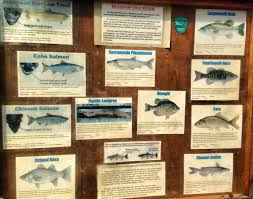 The location of this catch is only visible to fishidy members. Riverfront Regional Park The Community Is Truly Blessed With This Park And What It Has To Offer Facebook