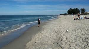 Image result for Sandy Beach Brown 2011 Captiva