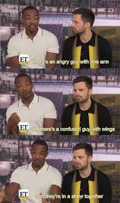 Sam wilson aka the falcon and bucky barnes aka the winter soldier team up on a global adventure. Anthony Mackie Perfectly Describes The Falcon And The Winter Soldier Marvelmemes Winter Soldier Funny Funny Marvel Memes Marvel Jokes